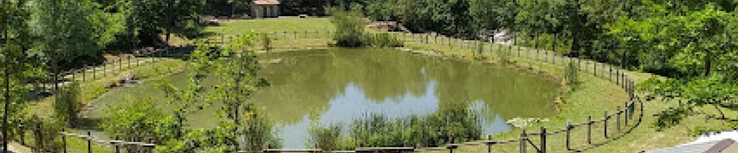Eco Park