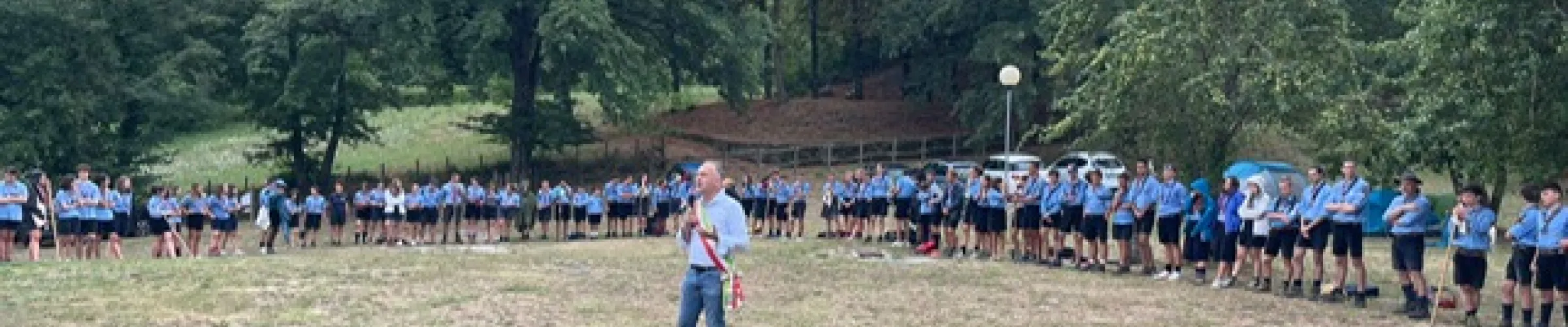 scout