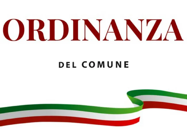 Ordinanza 