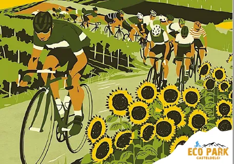 Bici in campo