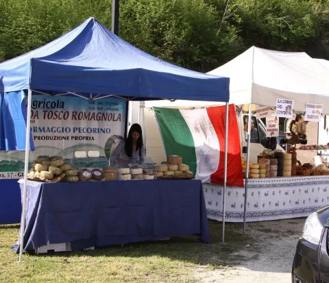 fiera fiera