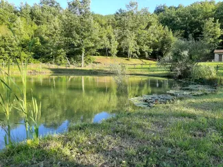 Eco park