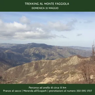 Trekking