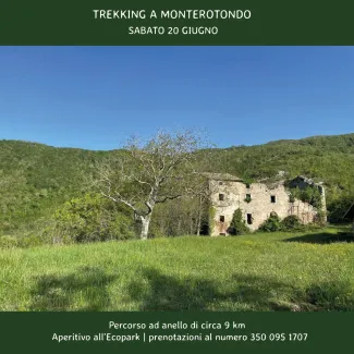 Trekking